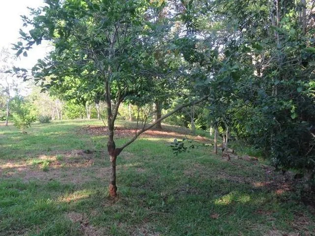 Search title only show only urgent. Peninsula Con Casa Y Acceso Al Mar En Boca Chica Castillo Nieto Real Estate